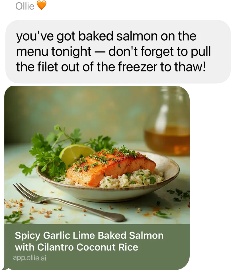 Ollie meals text bubbles